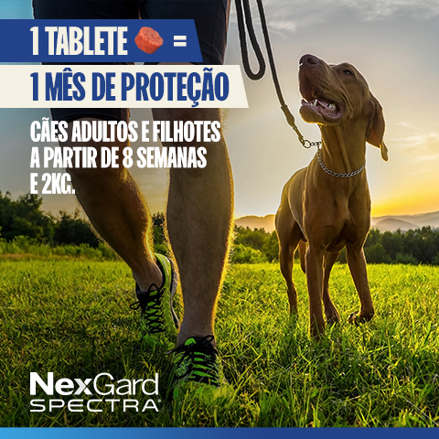 1 tablete 1 mês de proteção